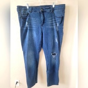 Melissa McCarthy Seven7 skinny jeans